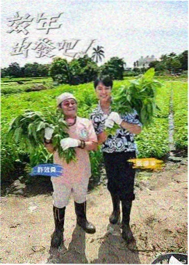 手作星期天慢综艺海报